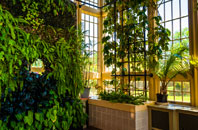 Boothby Pagnell orangery installation